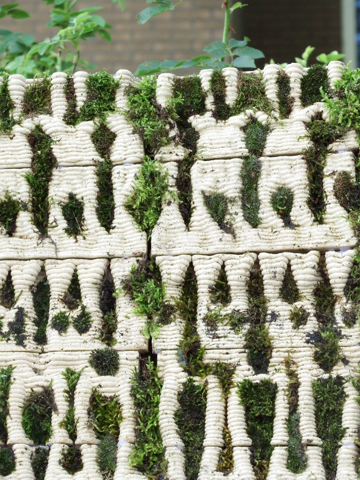 The printed tile with its branching surface
